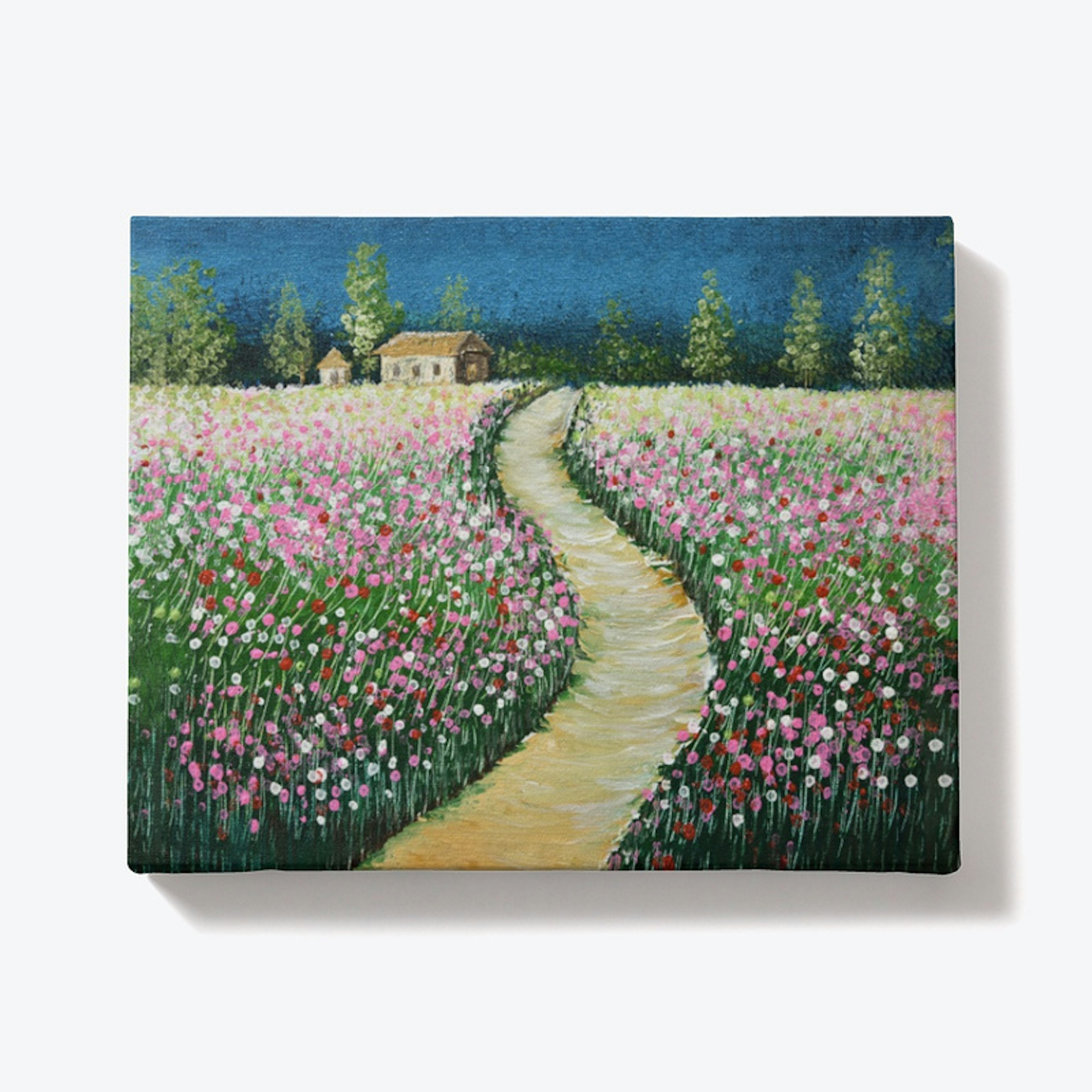 A Country Road with Cosmos in bloom
